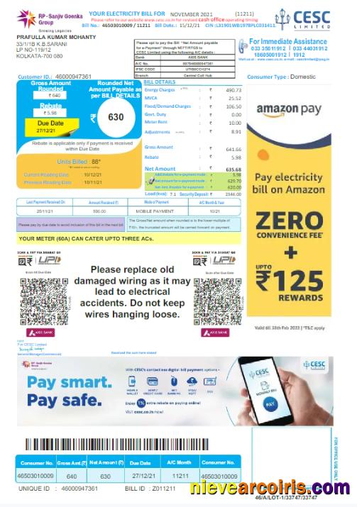 INDIA CESC LIMITED utility bill, version 2